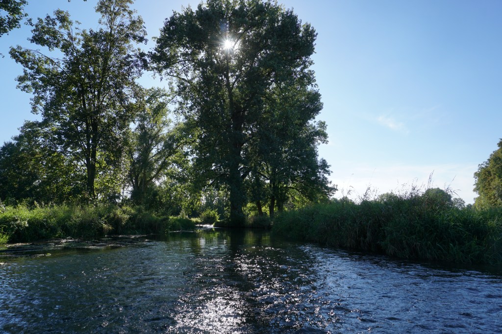 Bach in der Flutmulde Landshut