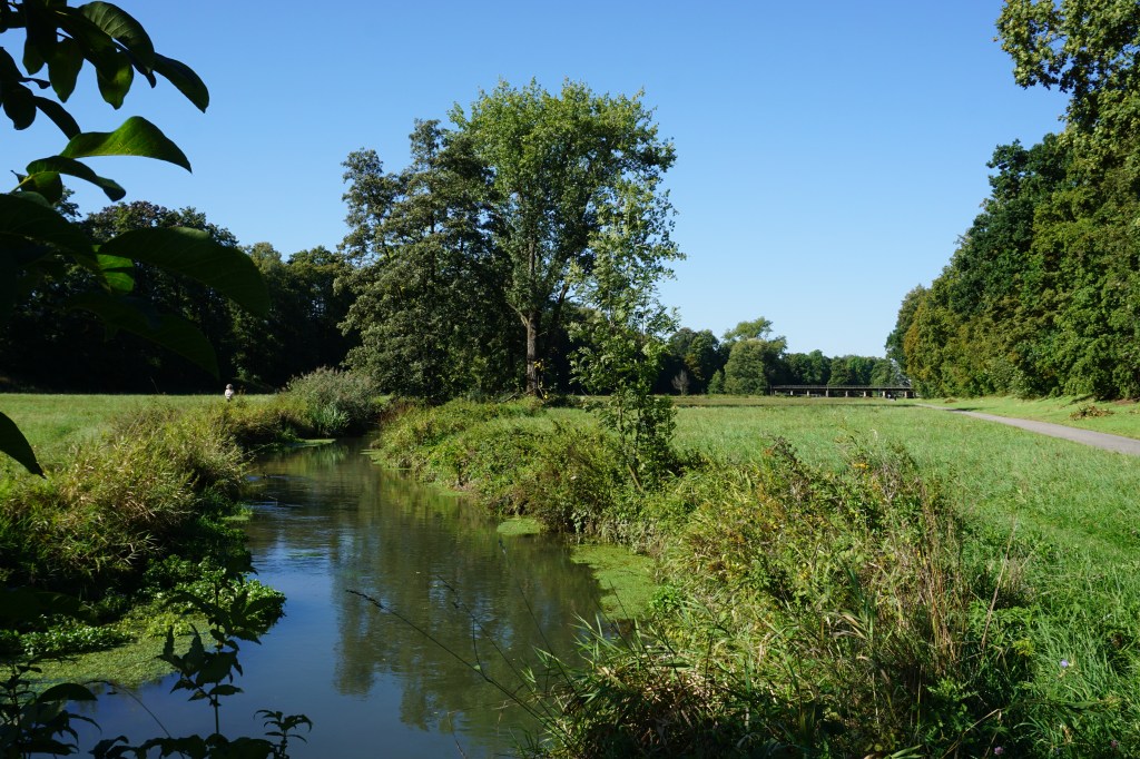 Bach und Wiesn der Flutmulde Landshut